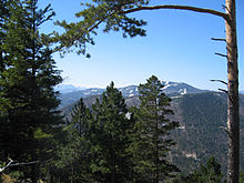 Föhren- und Fichtenwald am Almeskogel (1065 m); im Hintergrund der Unterberg; im Mittelgrund der unbenannte Gipfel (1067 m) am Enziansteig südlich des Kienecks