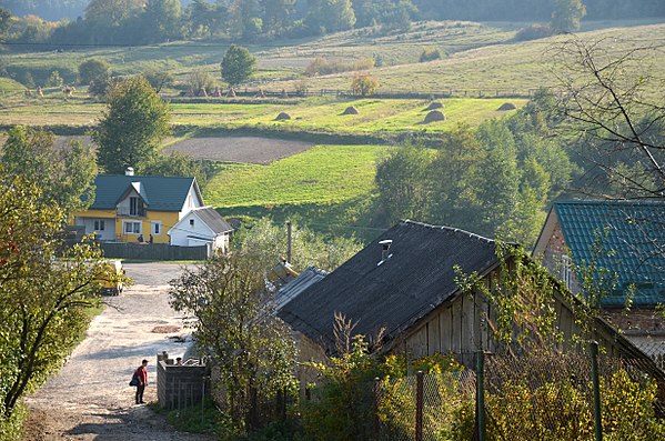 Село каре. Вишневчик (Чемеровецкий район). Ушковичи Львовская область. Львовская область жизнь в деревне. Село Якторов Львовская область.