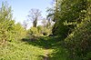 Uxbridge Alderglade 6.JPG