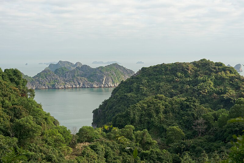 File:View of the sea from Cannon Fort Park on Cat Ba Island, Vietnam, 20240130 1601 4441.jpg