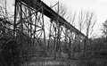 View of trestle from below, looking SW by 250 degrees, Brandywine Valley Viaduct Downingtown, Chester County HAER PA,15-DOWT,4-4 (cut).jpg