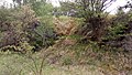 Čeština: Bradáček vejčitý v přírodní památce Na opukách, okres Strakonice, Jihočeský kraj. English: Listera ovata in the natural monument Na opukách, Strakonice District, south Bohemia, Czechia.