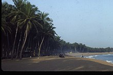 Kuva pitkästä hiekkarannasta, jossa on palmuja