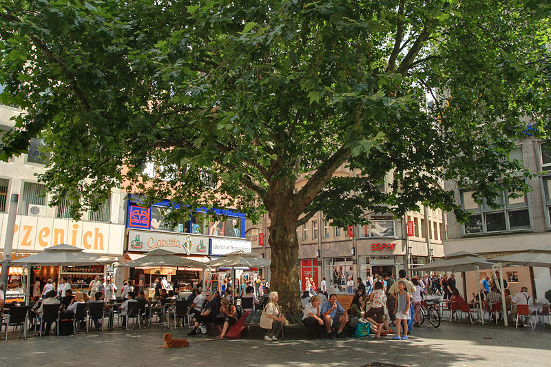 File:Wallrafplatz-sommer.jpg