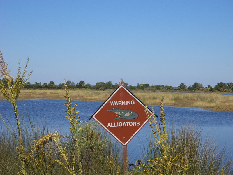 File:Warning Alligators sign at St Marks NWR.JPG