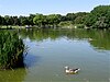 Lago Oeste