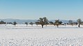 * Nomination A winter landscape in Hesse, close to Frankfurt am Main. The Feldberg transmitters can be seen in the distance. --DXR 16:47, 29 December 2014 (UTC) * Promotion Good quality, but please remove the dust spot. --Cccefalon 17:06, 29 December 2014 (UTC)  Done Thanks, a bit harder to spot them on my laptop, but should be fixed. --DXR 17:24, 29 December 2014 (UTC)