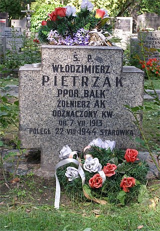 <span class="mw-page-title-main">Włodzimierz Pietrzak</span> Polish poet and literary critic