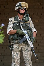 Wojsko Polskie Irak DM-SD-05-11387.jpg