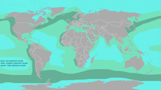 World distribution of plankton