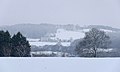 2009-02-06 10:50 Snow on a hill in Somerset.