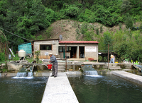 An economically sustainable, commonty-awned fish ferm, locatit near Ixtlan.