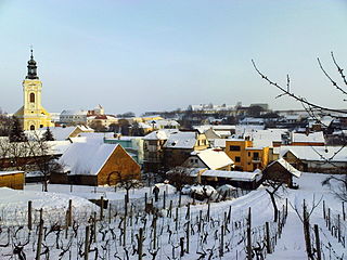 <span class="mw-page-title-main">Čejkovice (Hodonín District)</span> Municipality in the Czech Republic