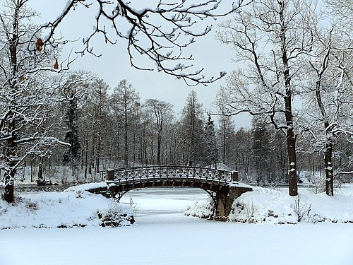 447. Металлический мост в Гатчинском парке Автор — Ywbrkjgtlbz601