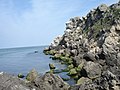 Море та скелі, Казантипський природний заповідник.jpg