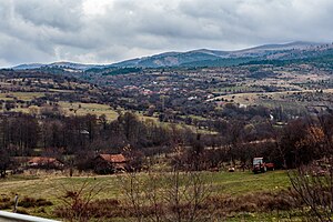 Негрево: Географија и местоположба, Историја, Стопанство