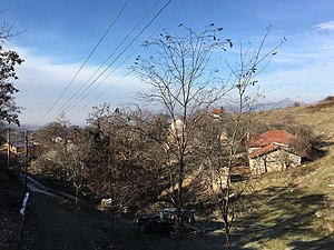 Плетвар: Географијa и местоположба, Историја, Стопанство