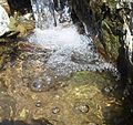 * Nomination One frame of a small river in Shirak (Armenia)--6AND5 09:04, 12 July 2015 (UTC) * Decline Sorry, not sharp. --Cccefalon 09:13, 12 July 2015 (UTC)