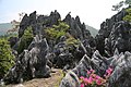 千岛湖石林风光 - panoramio (17).jpg