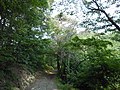 稲荷神社参道 Path to Inari Shrine - panoramio.jpg