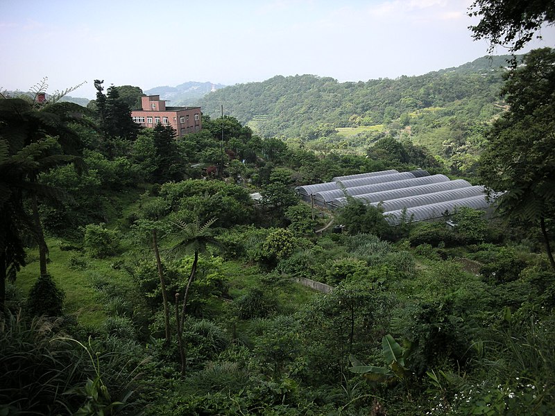 File:行義路至陽明山 - panoramio - Tianmu peter (46).jpg