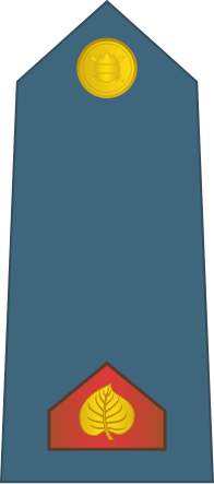 File:01-Slovenian Air Force-LCP.svg