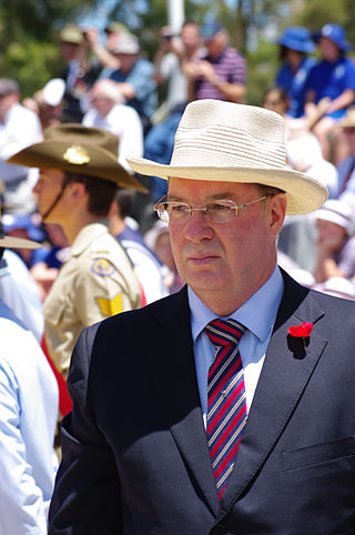 <span class="mw-page-title-main">Eric Ripper</span> Australian politician