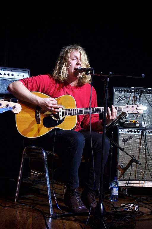 2013 Ty Segall (11181128934)