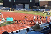 Women's 100m finals