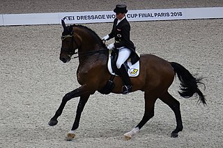 <span class="mw-page-title-main">Belinda Weinbauer</span> Austrian dressage rider