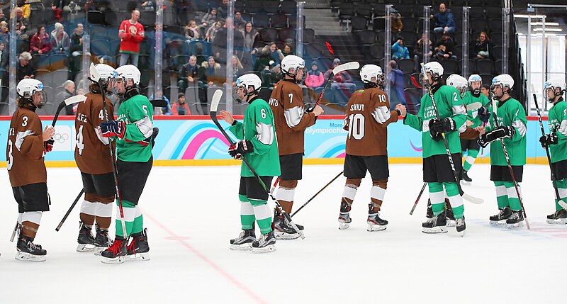 File:2020-01-11 Ice hockey at the 2020 Winter Youth Olympics – Men's 3x3 mixed tournament – Preliminary round – Green vs. Brown (Martin Rulsch) 90.jpg