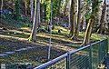 Grün- Und Parkflächen In Lörrach: Parks, Weitere Grünflächen, Friedhöfe