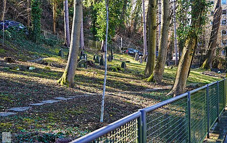 210220 friedhof hinten