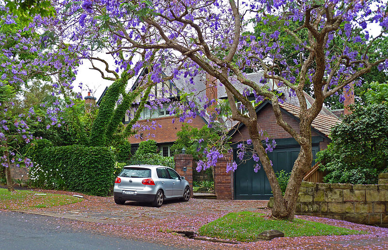 File:26 Springdale Road, Killara, New South Wales (2010-12-04) 01.jpg