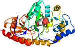 Thumbnail for Tyrosine aminotransferase