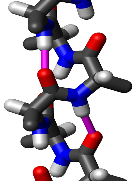 File:3 10 helix neg49 neg26 sideview.png