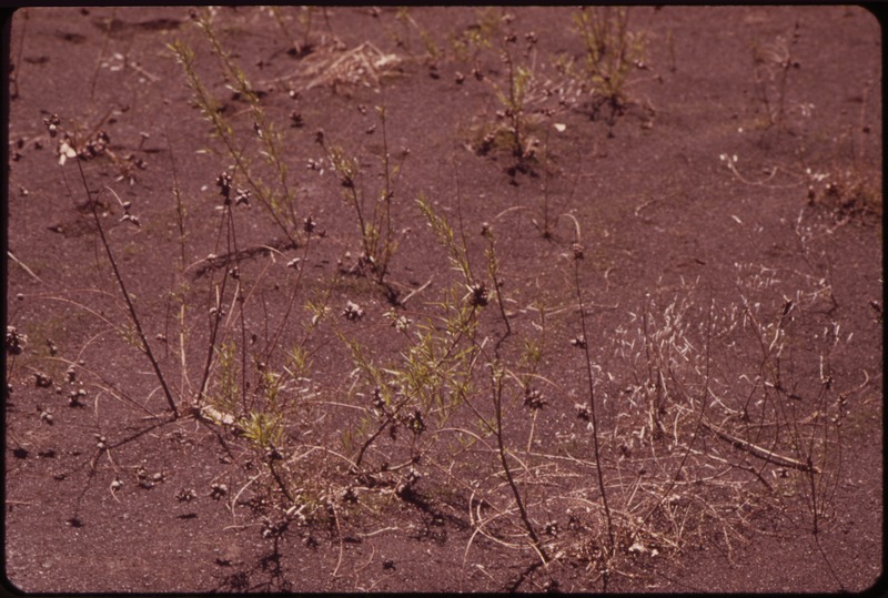 File:AFTERMATH OF STRIP MINING AT ST. DAVID IN FULTON COUNTY - FINELY PULVERIZED COAL, OR "SLURRY". ALMOST NOTHING CAN... - NARA - 552428.tif