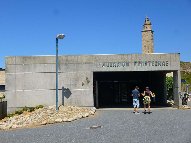 File:A Coruña - Aquarium Finisterrae (Casa dos Peixes) 02.JPG