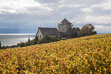 La tour Bertholod dans le vignoble de Lutry.