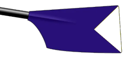 Image showing the rowing club's blade colours