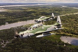 Braziliaanse Luchtmacht