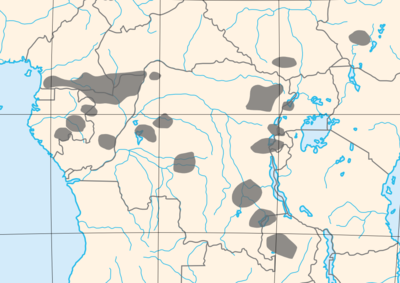 Location of Africa's Pygmy Tribes African Pygmies blank.png