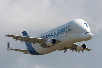 Un Airbus A300-600ST « Béluga » lors de l'Airexpo 2014. (définition réelle 3 043 × 2 021)
