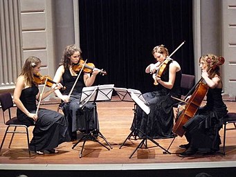 Hari-Laukote: Hari kuarteto forma musikalaren ezaugarriak, Hari laukotearen aldaerak, Hari kuarteto aipagarriak