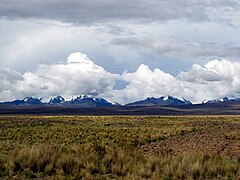 Altopiano umido dell'Altiplano Titicaca, La Paz
