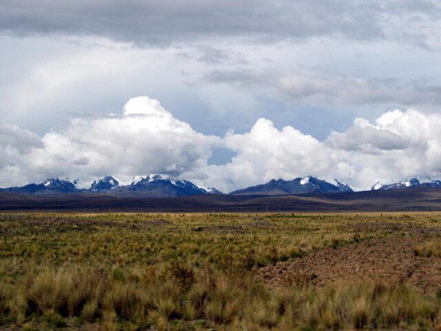 The Bolivian Altiplano at about 4,250 m (14,000 feet). The snow-covered peaks of the Cordillera Real rise in the background.