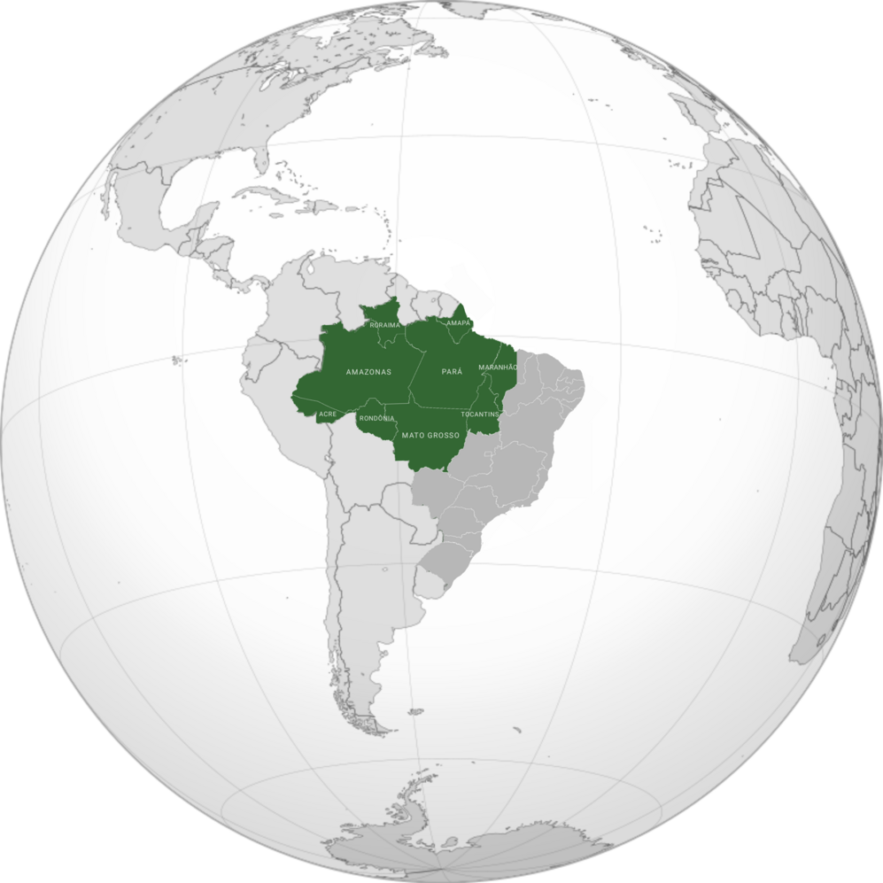 Brazilian Amazon-avatar