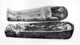 Amenhotep I coffin mummy.png