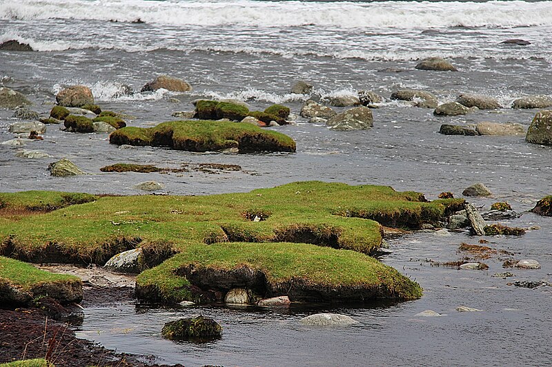 File:Angry sea at Gislövshammar (10405448654).jpg