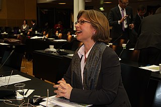<span class="mw-page-title-main">Anne Kristin Sydnes</span> Norwegian politician